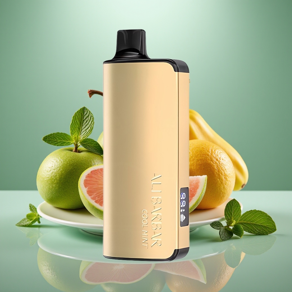 Alibarbar Ingot 9000 Puffs 22ml LED Cool Mint