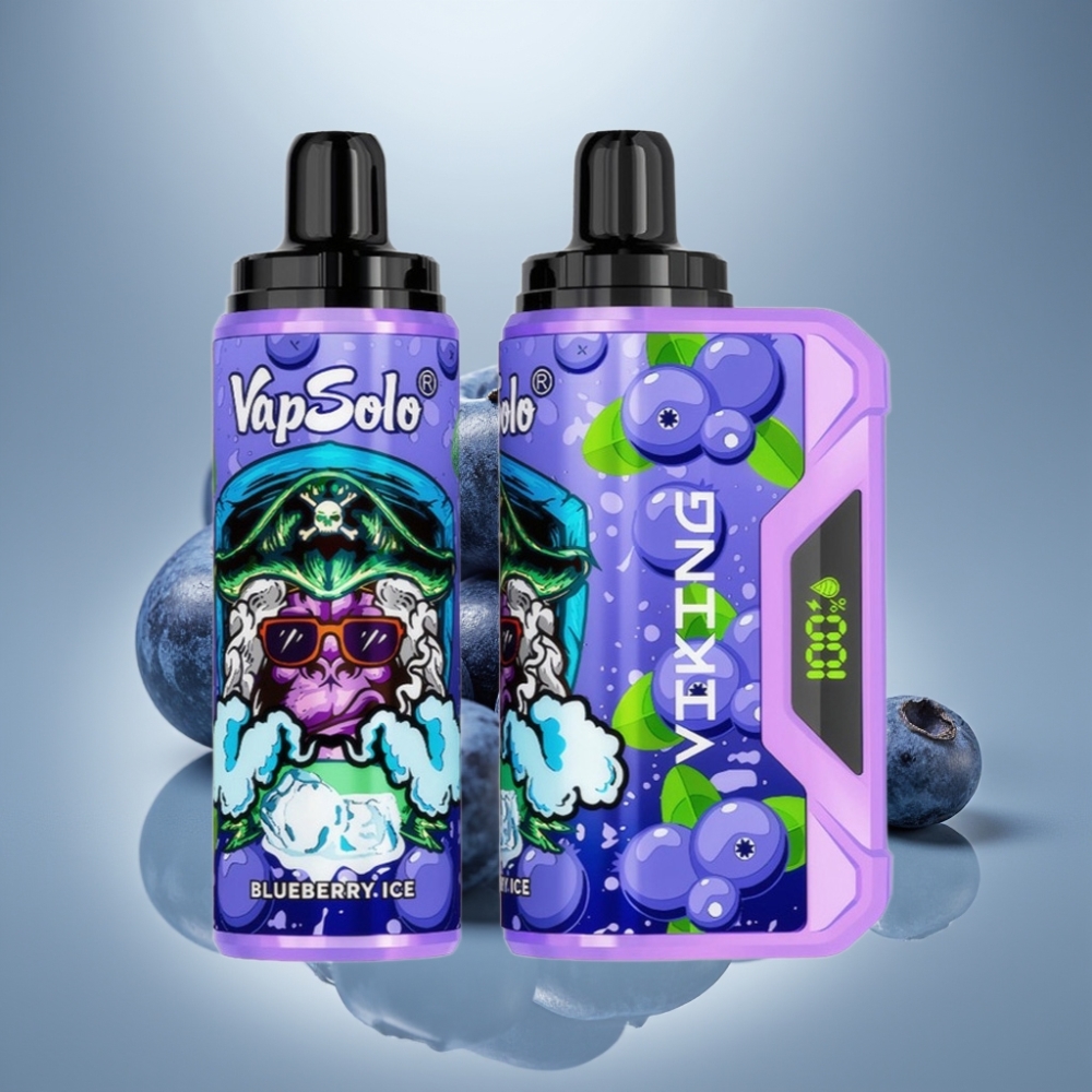 VapSolo VIKING 12000 Puffs 22ml Blueberry Disposable Vape