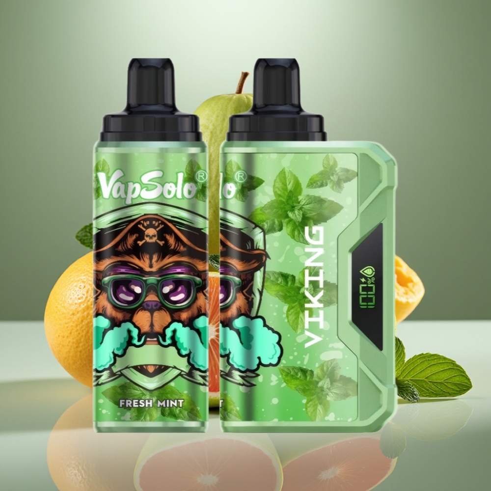 VapSolo VIKING 12000 Puffs 22ml Fresh Mint Disposable Vape